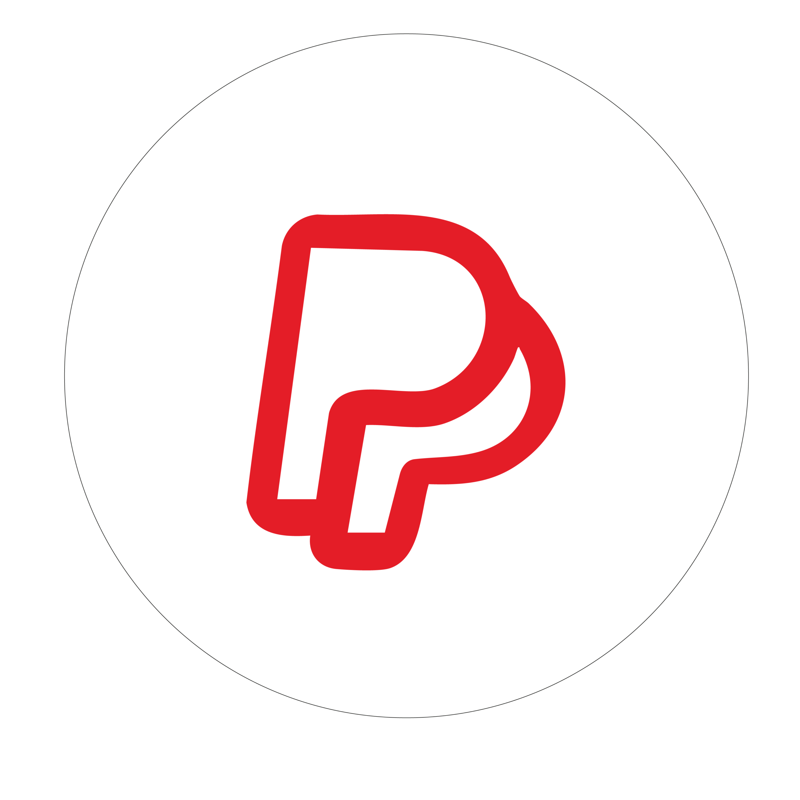 ACQUISTA ORA, PAGA PIÙ TARDI CON PAYPAL