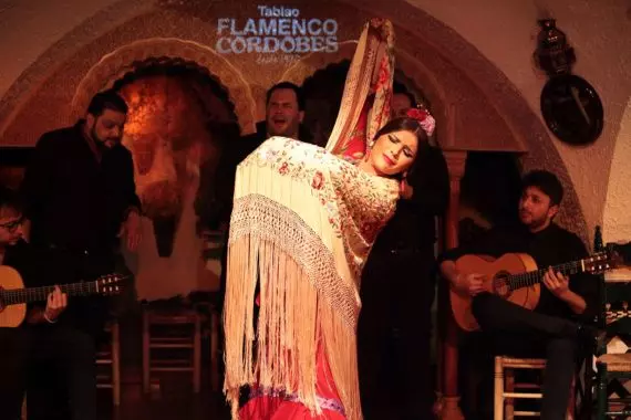 Typical spanish flamenco dancer