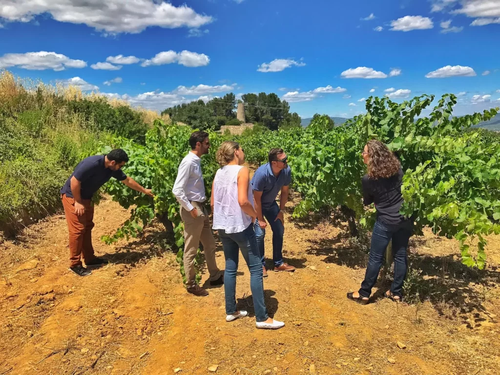 Group during an explanation in the vineyards